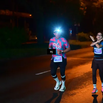 Runner Photo 4446708