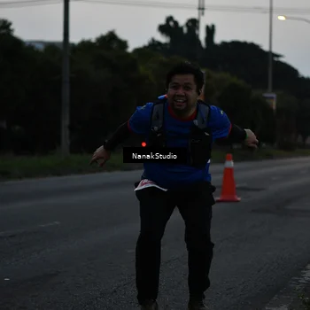 Runner Photo 4446846