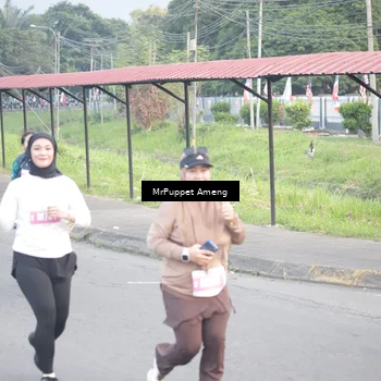 Runner Photo 4446972