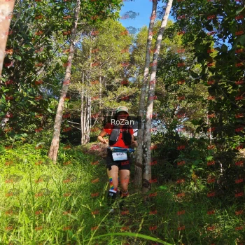 Runner Photo 4448