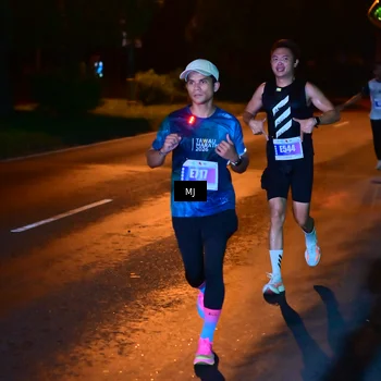 Runner Photo 4448017