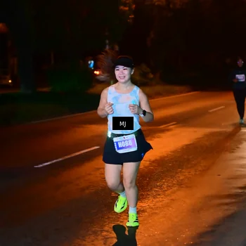 Runner Photo 4448091