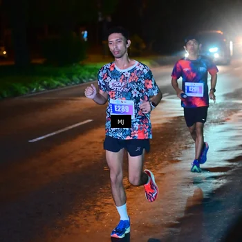 Runner Photo 4448217