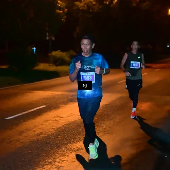 Runner Photo 4448453