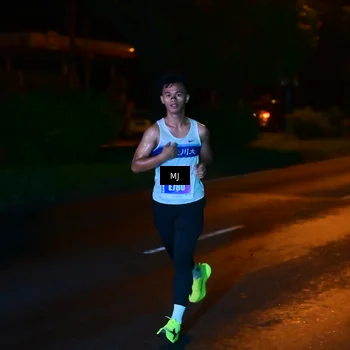 Runner Photo 4448993