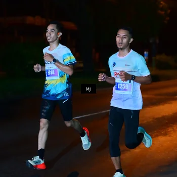 Runner Photo 4450106