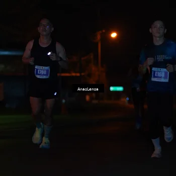 Runner Photo 4450582