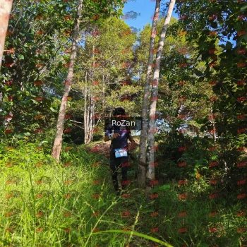 Runner Photo 4451