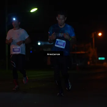 Runner Photo 4451079