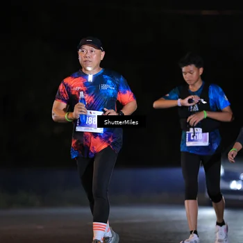 Runner Photo 4452045