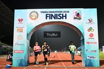 Runner Photo 4452048