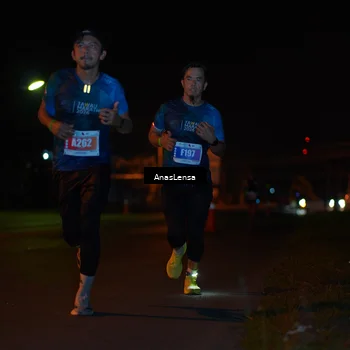 Runner Photo 4452128