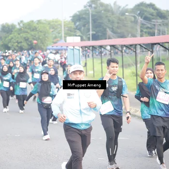 Runner Photo 4452198