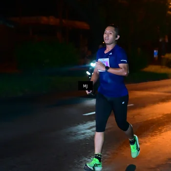Runner Photo 4452797