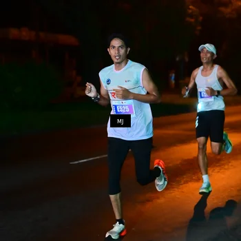 Runner Photo 4452829