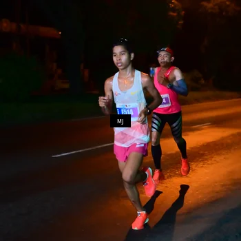 Runner Photo 4452832