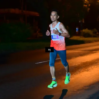 Runner Photo 4452850