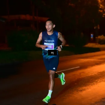 Runner Photo 4452864