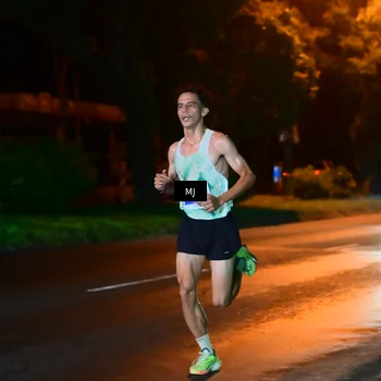 Runner Photo 4452884