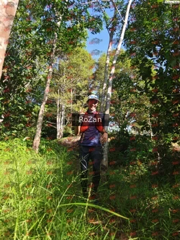 Runner Photo 4453