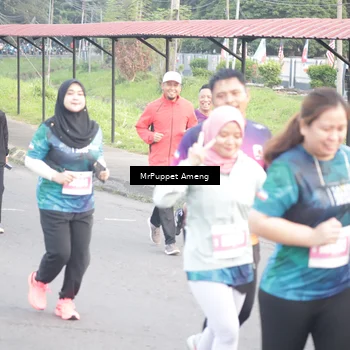 Runner Photo 4453873