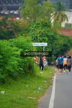 Runner Photo 4454150