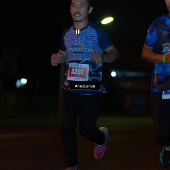 Runner Photo 4455853