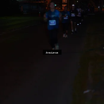 Runner Photo 4458309