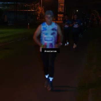 Runner Photo 4458638