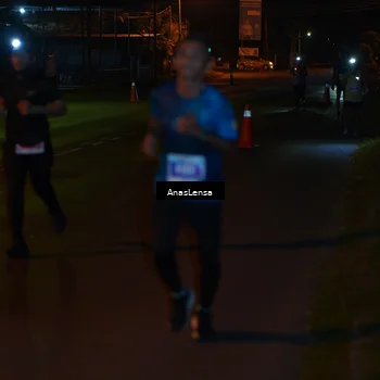 Runner Photo 4459087