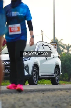 Runner Photo 4459220