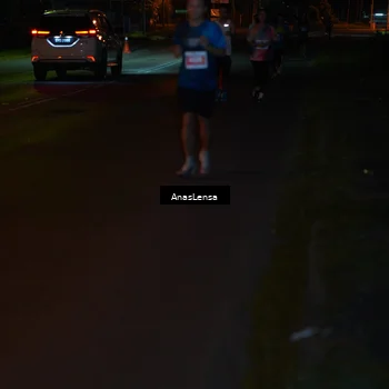 Runner Photo 4459483