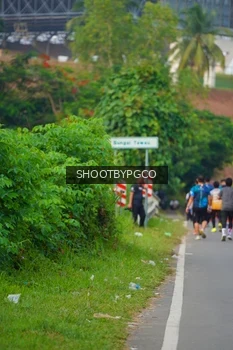 Runner Photo 4459629