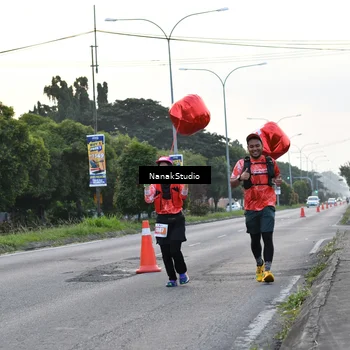 Runner Photo 4459674