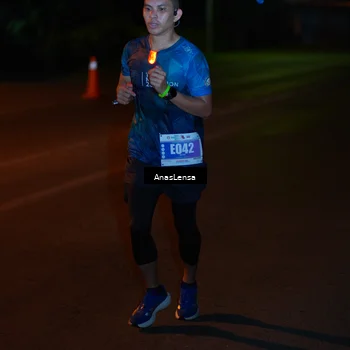 Runner Photo 4460156