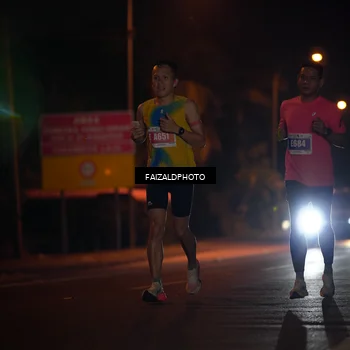 Runner Photo 4460498