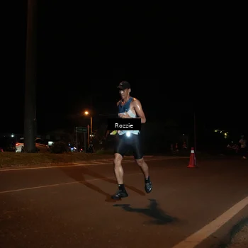 Runner Photo 4461034