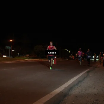 Runner Photo 4461126