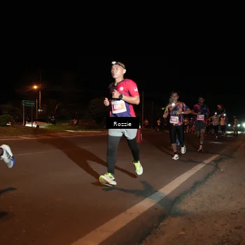 Runner Photo 4461174
