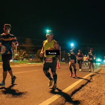 Runner Photo 4461299