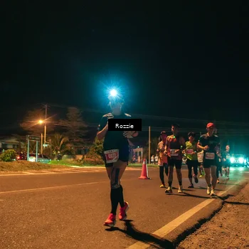 Runner Photo 4461336