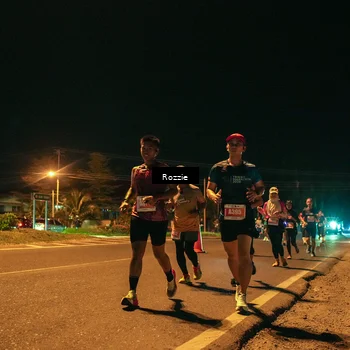 Runner Photo 4461344