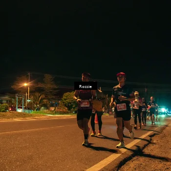 Runner Photo 4461348