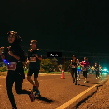 Runner Photo 4461440