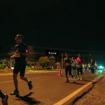 Runner Photo 4461464