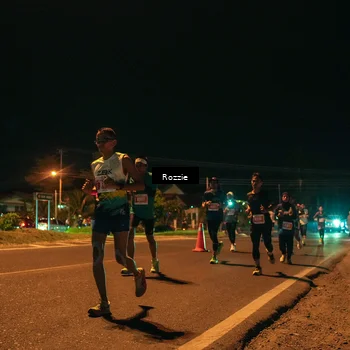 Runner Photo 4461473