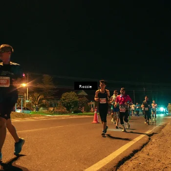Runner Photo 4461477