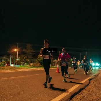 Runner Photo 4461484
