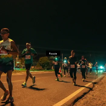 Runner Photo 4461557