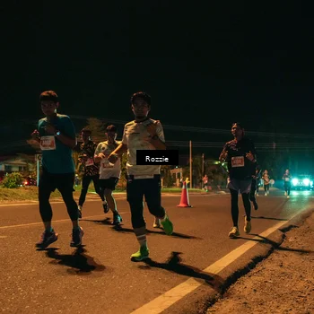 Runner Photo 4461704